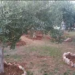 Διαμέρισμα Victoria Εξαμίλιο